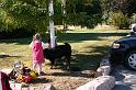 Picture 9721